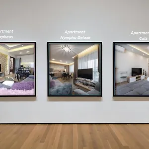 Cats Apartment